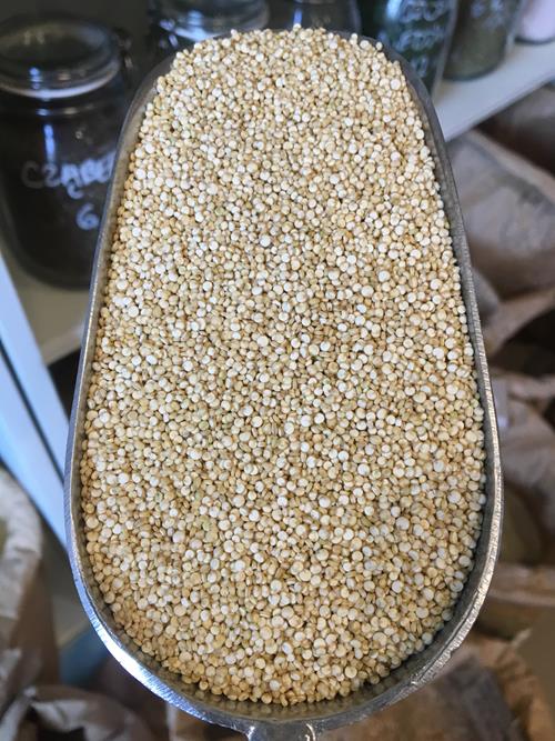 Komosa ryżowa (quinoa)