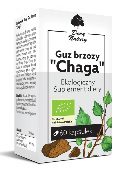 Guz brzozy "Chaga" EKO 60 kapsułek - Suplement diety